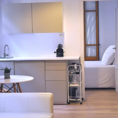 Проживание в семье Basque *